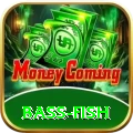 bass fish - Gaming Champion