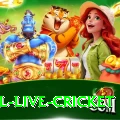 bpl live cricket - Casino Max