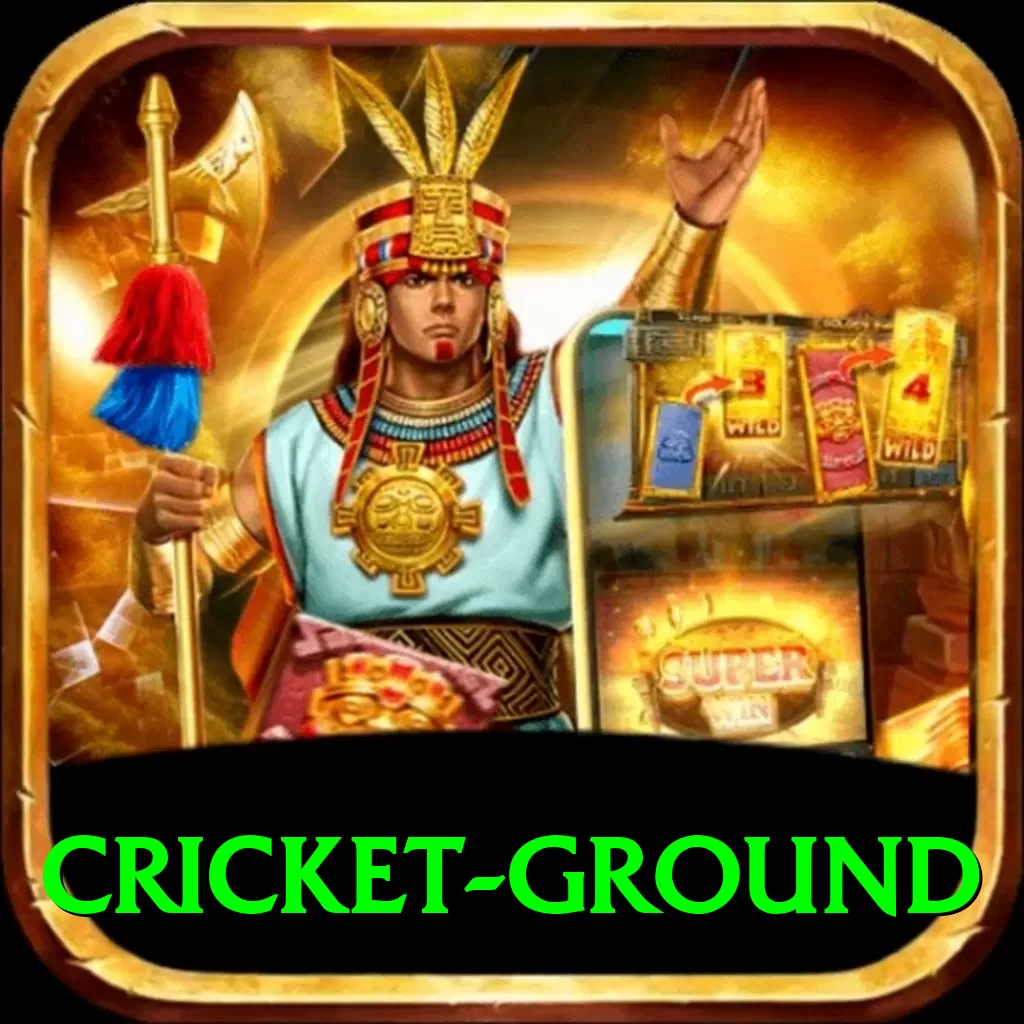 cricket ground Deluxe 2024 - 2