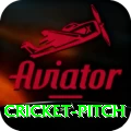 cricket pitch Royal Gaming App