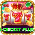 fastest ball in cricket - Champion Edition v5.3.1