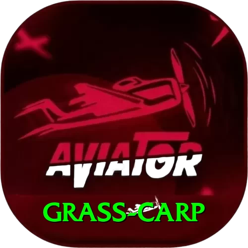 grass carp Premium - Win Real PKR - 2