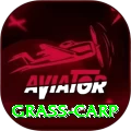 grass carp Premium - Win Real PKR