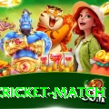india cricket match Earn King v1.7.0
