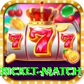international cricket match Live Champion v1.9.8