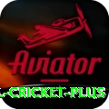 international cricket - Champion Edition v4.8.1