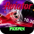 pkspin Bonus VIP v2.4.3