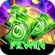 PKWin Deluxe Pro v5.1.3