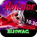 sehwag Pakistan Premium v1.1.1