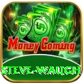 steve waugh - Gaming Pro