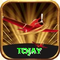 tojay VIP v1.8.8