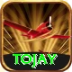 tojay VIP v1.8.8