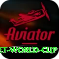 u19 cricket world cup Deluxe APK v3.1.0