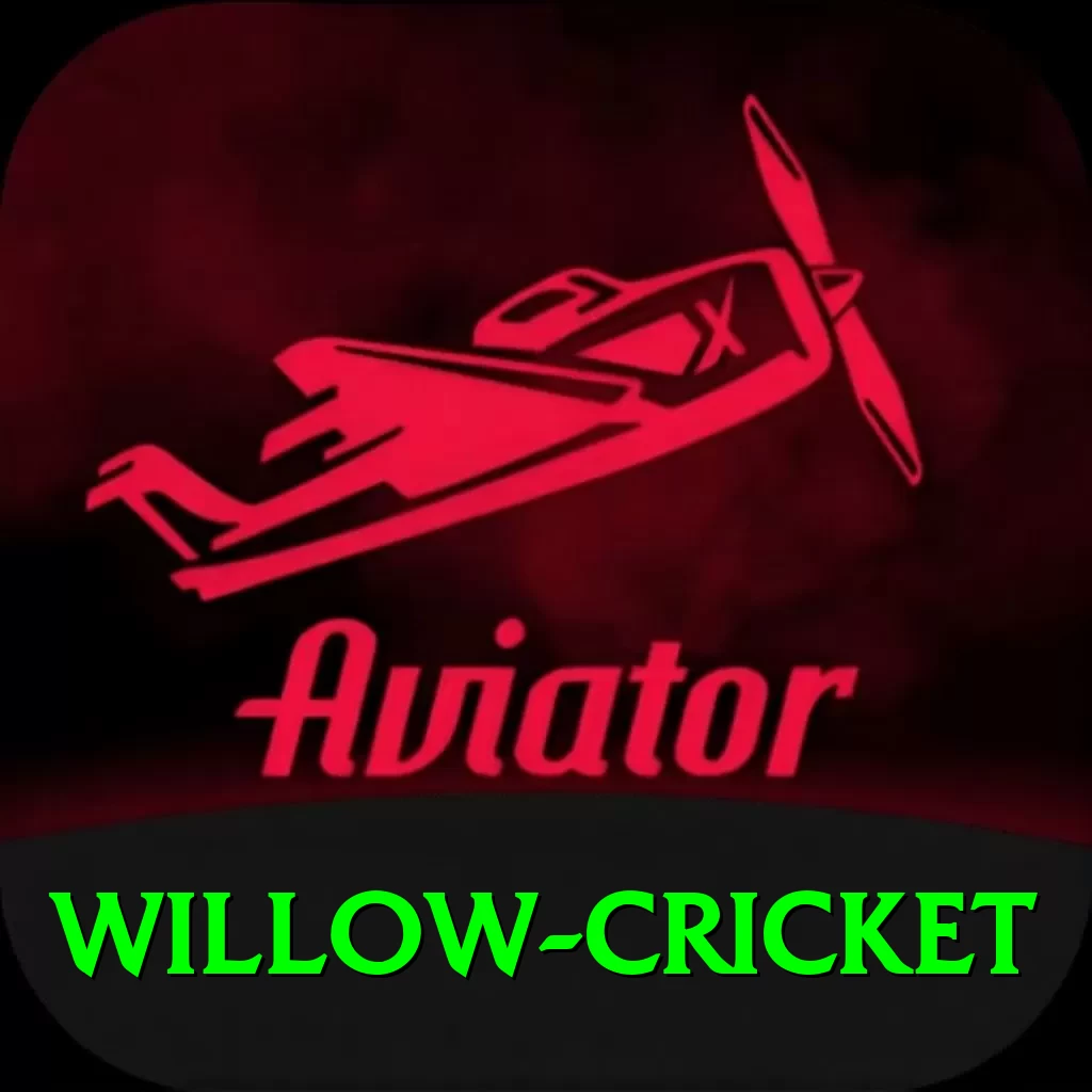 willow cricket VIP Pakistan - 2